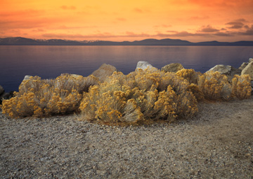 Tahoe sunset